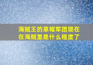 海贼王的草帽军团现在在海贼里是什么程度了