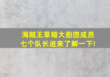 海贼王草帽大船团成员七个队长进来了解一下!