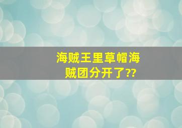 海贼王里草帽海贼团分开了??