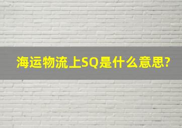 海运物流上。SQ是什么意思?