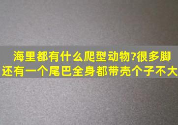 海里都有什么爬型动物?很多脚,还有一个尾巴,全身都带壳,个子不大