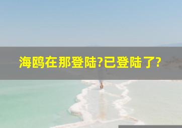 海鸥在那登陆?已登陆了?