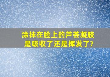 涂抹在脸上的芦荟凝胶是吸收了还是挥发了?