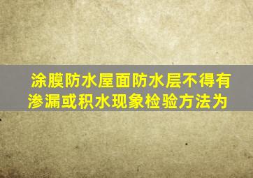 涂膜防水屋面防水层不得有渗漏或积水现象检验方法为( )