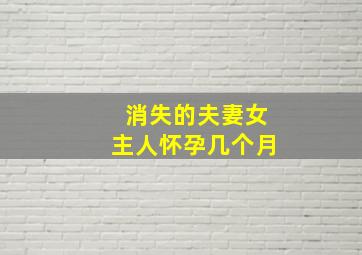 消失的夫妻女主人怀孕几个月