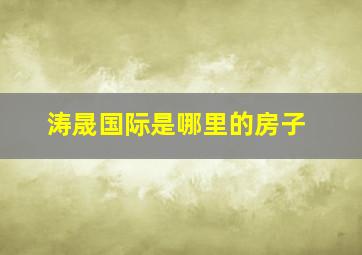 涛晟国际是哪里的房子(