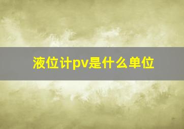 液位计pv是什么单位