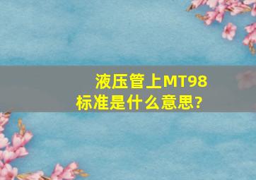 液压管上MT98标准是什么意思?