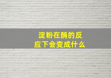 淀粉在酶的反应下会变成什么