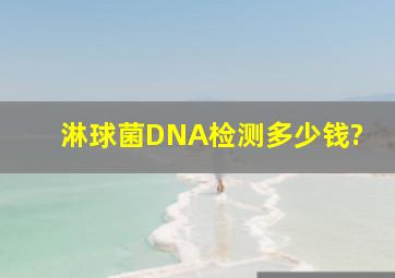 淋球菌DNA检测多少钱?