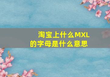 淘宝上什么M,XL的字母是什么意思