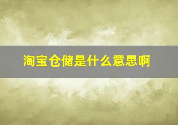 淘宝仓储是什么意思啊