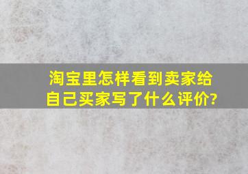 淘宝里怎样看到卖家给自己(买家)写了什么评价?