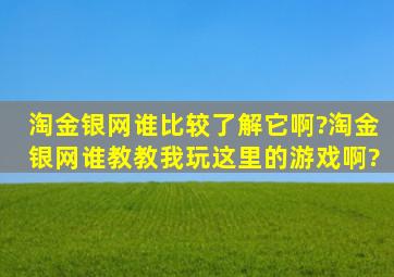 淘金银网谁比较了解它啊?淘金银网谁教教我玩这里的游戏啊?