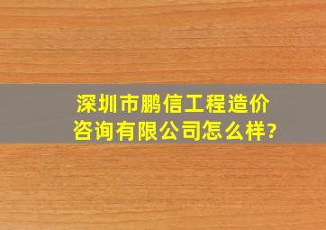 深圳市鹏信工程造价咨询有限公司怎么样?