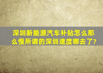 深圳新能源汽车补贴怎么那么慢所谓的深圳速度哪去了?