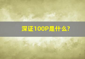 深证100P是什么?