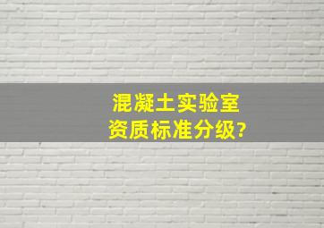 混凝土实验室资质标准分级?