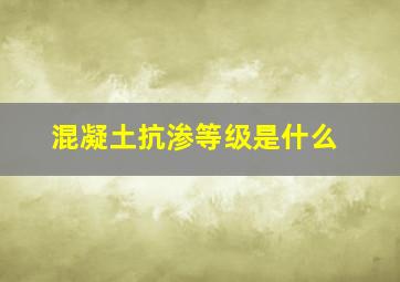 混凝土抗渗等级是什么