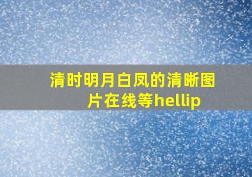 清时明月白凤的清晰图片。在线等…