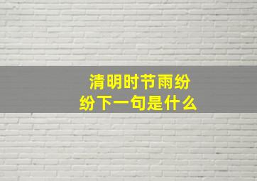 清明时节雨纷纷下一句是什么