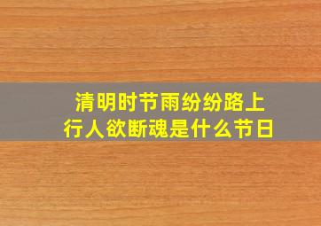 清明时节雨纷纷路上行人欲断魂是什么节日