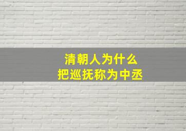 清朝人为什么把巡抚称为中丞