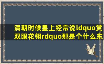 清朝时候皇上经常说“赏双眼花翎”那是个什么东西?