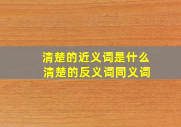 清楚的近义词是什么 清楚的反义词,同义词