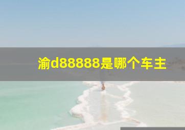 渝d88888是哪个车主