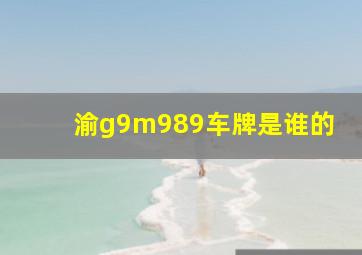 渝g9m989车牌是谁的