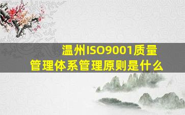 温州ISO9001质量管理体系管理原则是什么