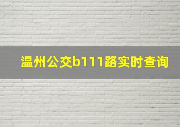 温州公交b111路实时查询