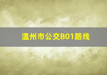 温州市公交B01路线