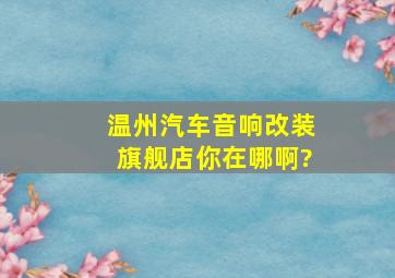 温州汽车音响改装旗舰店你在哪啊?