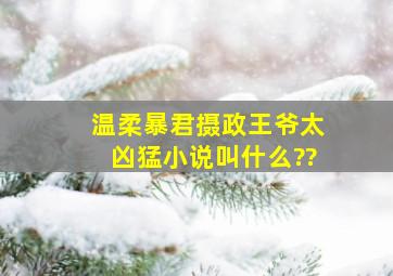 温柔暴君摄政王爷太凶猛小说叫什么??