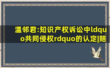 温邻君:知识产权诉讼中“共同侵权”的认定|赔偿|侵权人|权利人