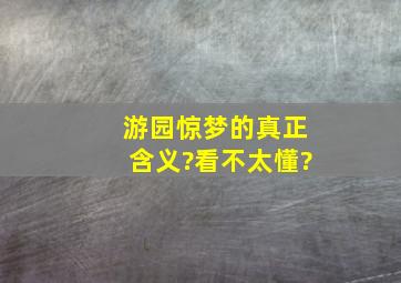 游园惊梦的真正含义?看不太懂?