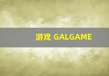 游戏 GALGAME