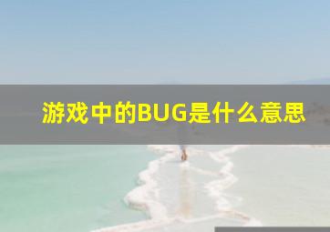 游戏中的BUG是什么意思(