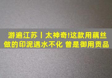 游遍江苏丨太神奇!这款用藕丝做的印泥遇水不化 曾是御用贡品