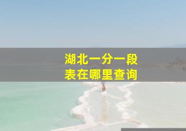 湖北一分一段表在哪里查询