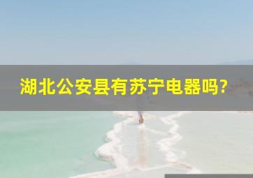 湖北公安县有苏宁电器吗?