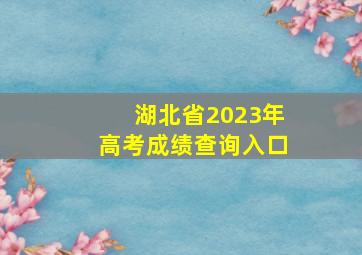 湖北省2023年高考成绩查询入口