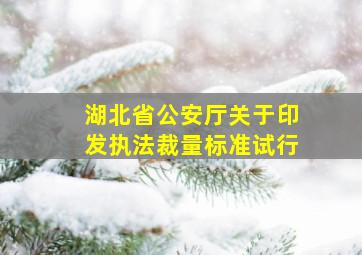 湖北省公安厅关于印发《执法裁量标准(试行)