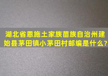 湖北省恩施土家族苗族自治州建始县茅田镇小茅田村邮编是什么?