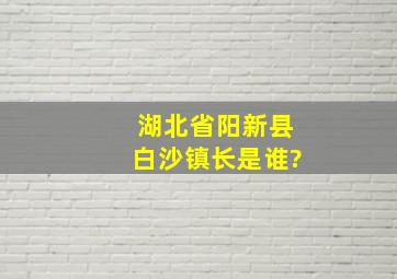 湖北省阳新县白沙镇长是谁?