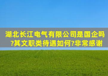 湖北长江电气有限公司是国企吗?其文职类待遇如何?非常感谢。