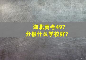 湖北高考497分报什么学校好?