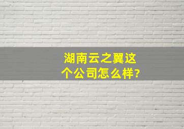 湖南云之翼这个公司怎么样?